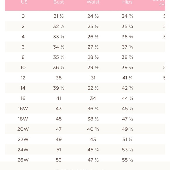 Mother of the Bride Groom Formal Floor Length Chiffon Lace Evening Dress - Picture 3 of 13